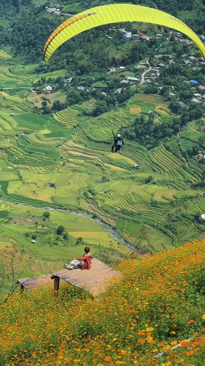 Cánh dù lượn màu vàng vắt ngang khung hình, người bay lơ lửng trên thung lũng ruộng bậc thang, một người ngồi nhìn từ phía sau trên sàn gỗ giữa đồi hoa vàng