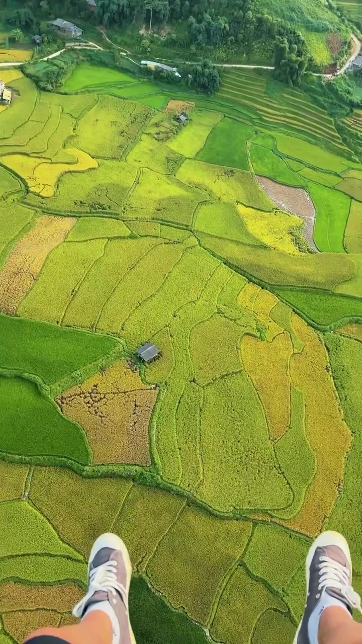 Nhìn từ dù lượn xuống những thửa ruộng bậc thang Mù Cang Chải vàng xanh xen kẽ, hai mũi giày vải của người bay lộ ra ở mép dưới khung hình