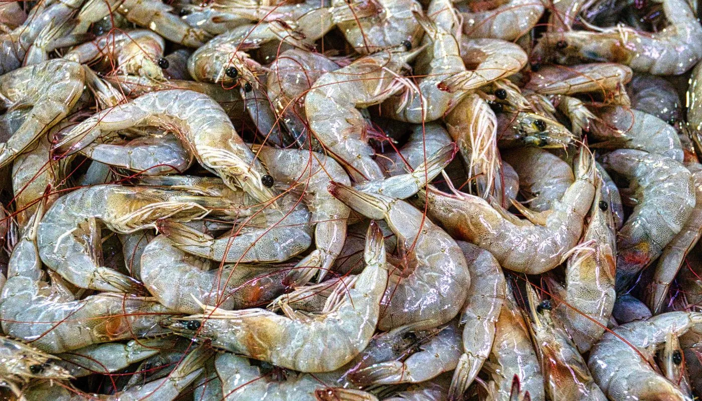 6 Resepi Kari Mudah Kuah Pekat Untuk Makan Malam Keluarga