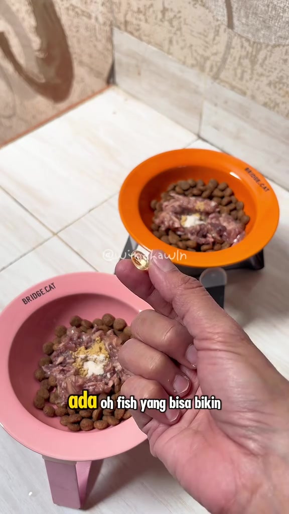 Dua mangkuk kucing bertingkat berisi kibbles dan wet food bertabur serbuk suplemen, sebelah tangan memegang kapsul minyak ikan