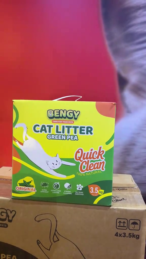 Kotak pasir kucing BENGY Green Pea 3.5kg berdiri di atas kotak kadbod