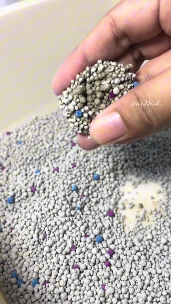 Tangan memegang ketulan keras pasir bentonite yang sudah menggumpal, di atas kotak pasir berisi pelet kelabu berbintik warna