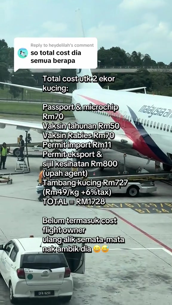 Senarai teks pecahan kos terbangkan dua kucing ke Sabah berjumlah RM1,728 bertindih pada gambar pesawat Malaysia Airlines di apron