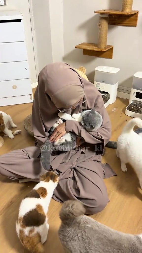 Pemilik duduk di lantai memeluk kucing kelabu dikelilingi beberapa ekor kucing selepas pulang dari perjalanan panjang