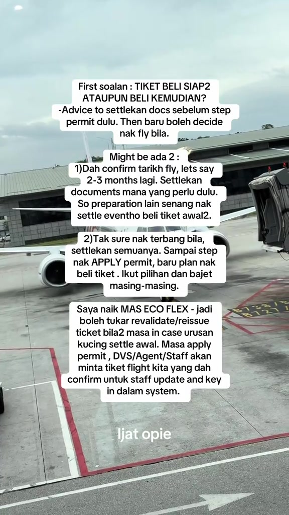 Teks nasihat tentang urutan settle dokumen kucing sebelum beli tiket dan mohon permit, bertindih pada gambar pesawat di apron
