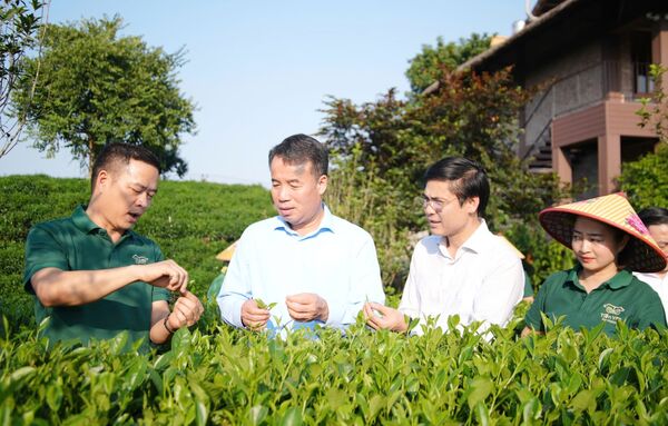 Ba lễ hội văn hóa du lịch: Từ trà Thái Nguyên đến bưởi Đại Minh