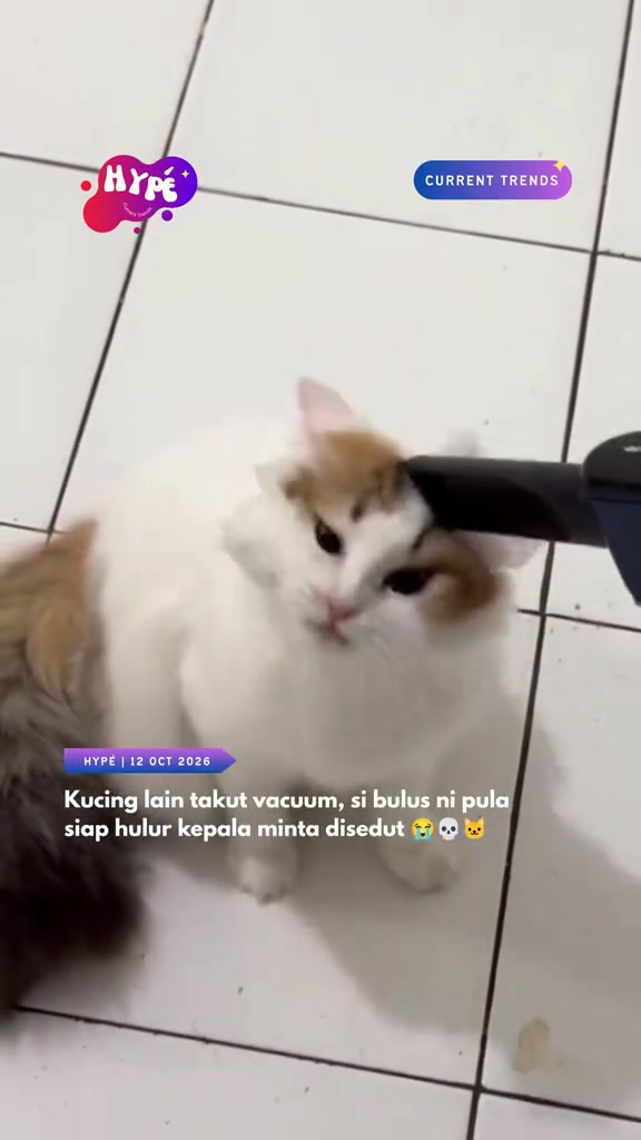 Kucing putih bertompok oren menekan kepala ke muncung vacuum hitam di lantai jubin putih, mata separuh pejam