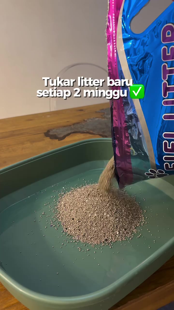 Tangan menuang pasir kucing dari beg foil biru ke dalam tray hijau, bertanda tukar litter baru setiap dua minggu