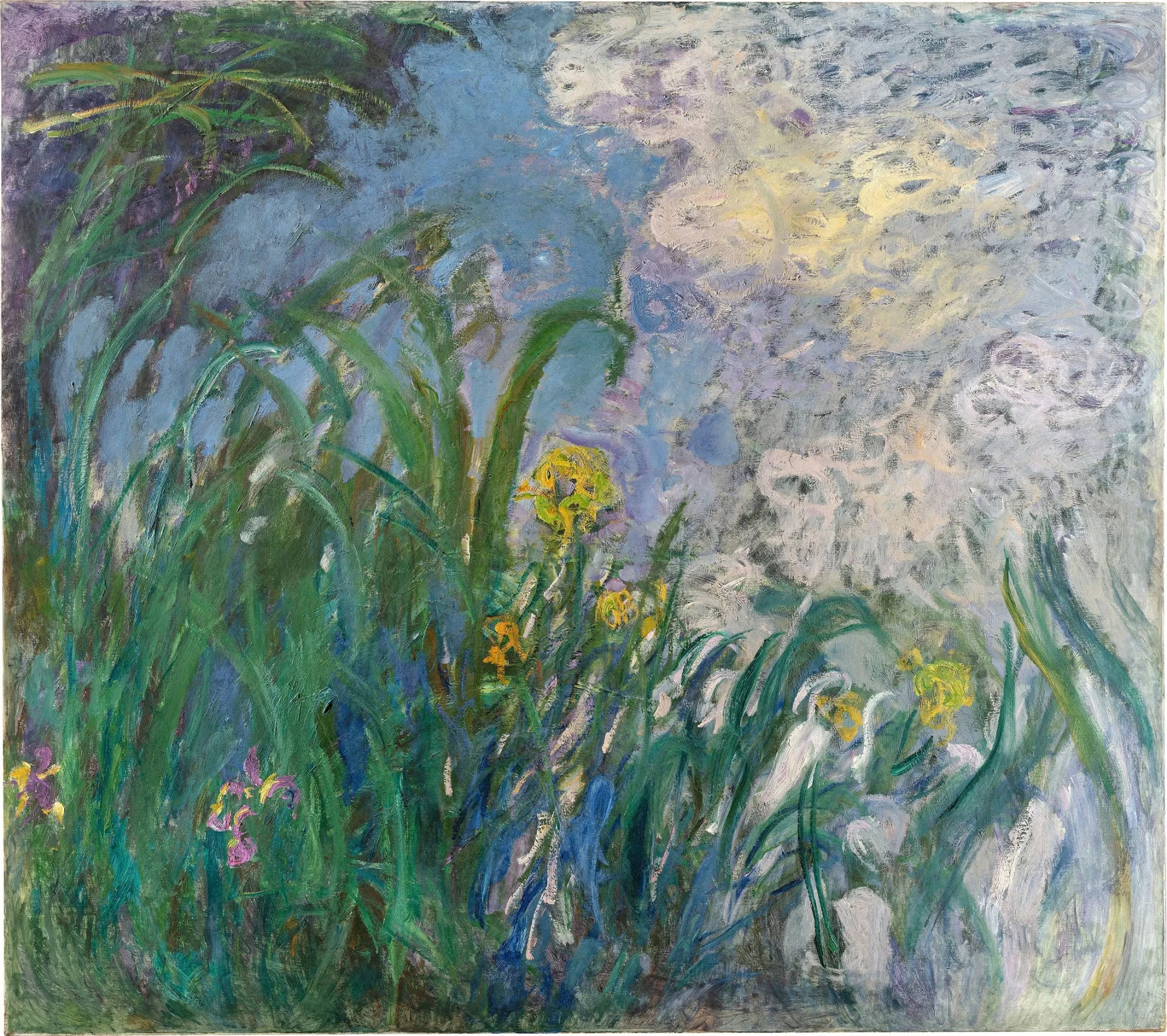 Bức tranh Iris của Monet lập kỷ lục đấu giá: Giá trị kiệt tác đến từ đâu?