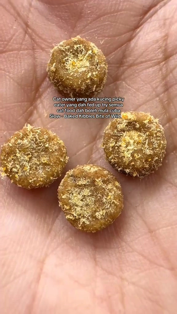 Slow baked kibbles: apa beza dengan kibbles biasa, harga RM di Malaysia, dan patut ke saya tukar untuk majikan cerewet