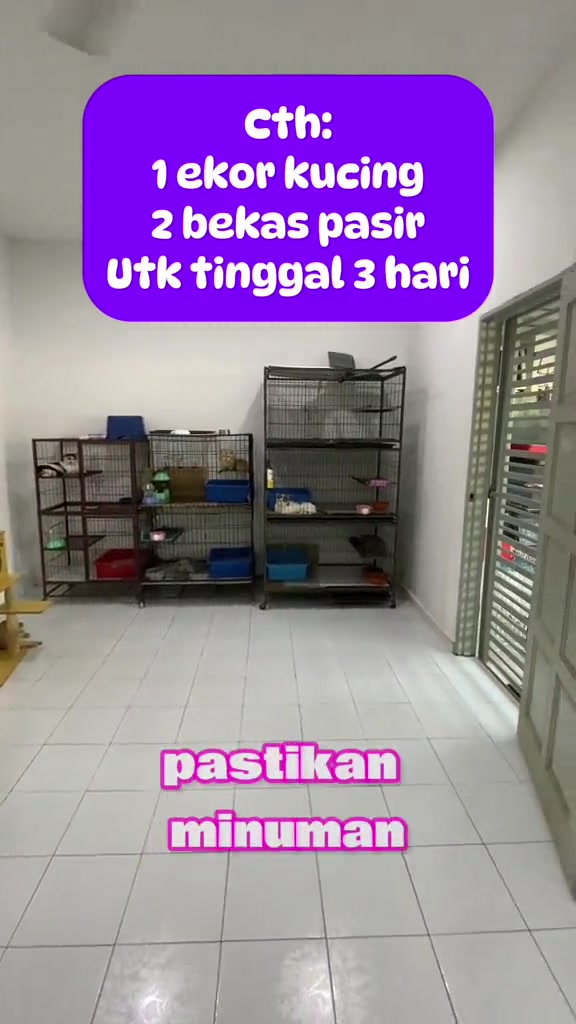 Bilik dengan beberapa sangkar bertingkat dan bekas pasir berbilang, berteks contoh dua bekas pasir untuk seekor kucing tinggal tiga hari