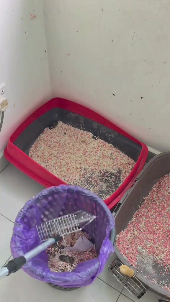 Dua kotak pasir berisi pasir terpakai di penjuru dinding, dengan skop di atas tong sampah ungu