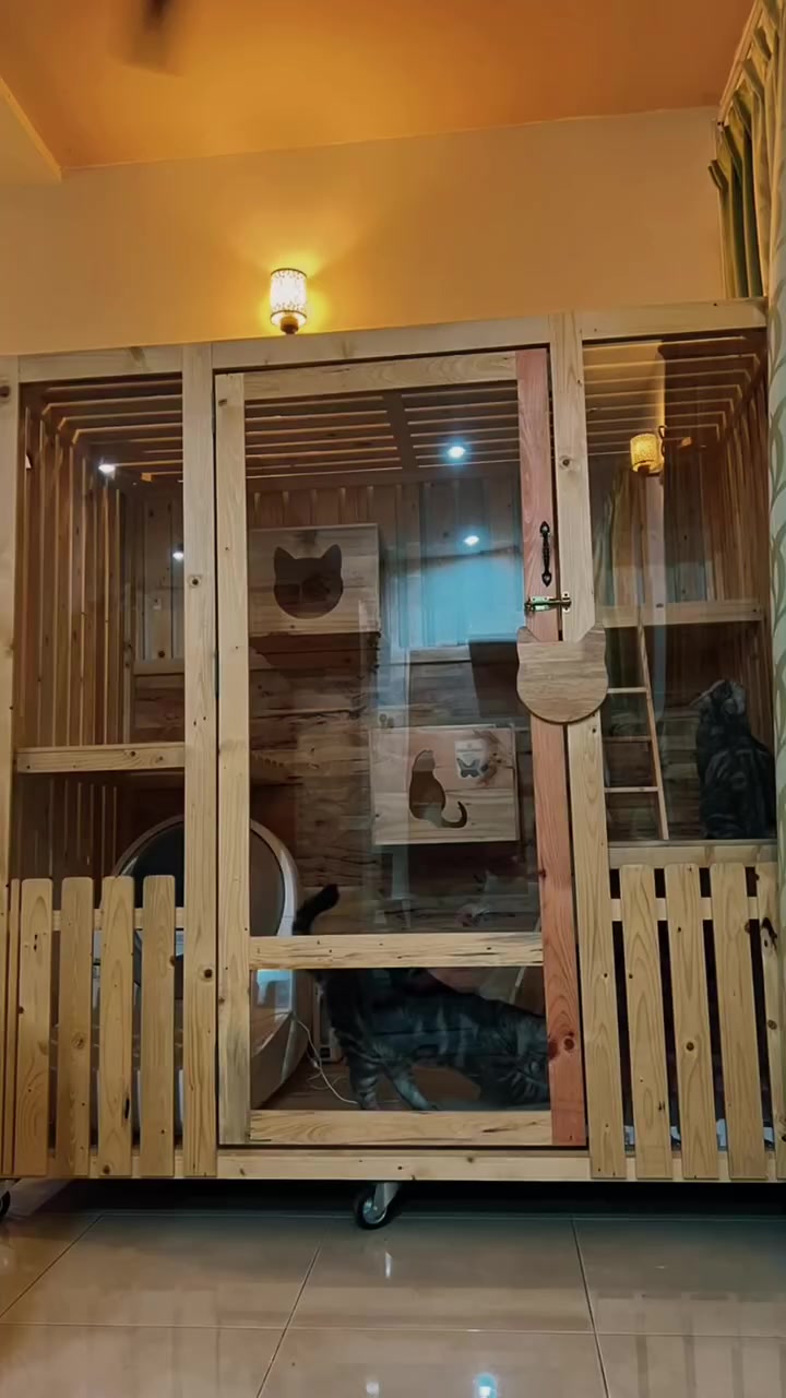 Sangkar kucing dalam apartment KL: bila perlu, jenis wayar lipat vs kayu vs aluminium, harga RM, dan cuci tak berkulat