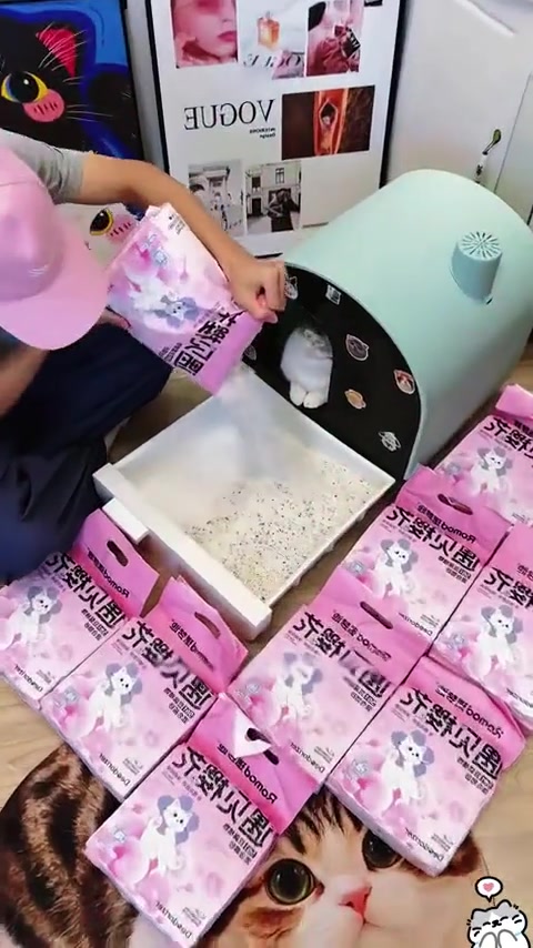 Tangan menuang pasir kucing dari beg ke dalam tray kotak pasir bertutup dengan beberapa beg pasir di lantai
