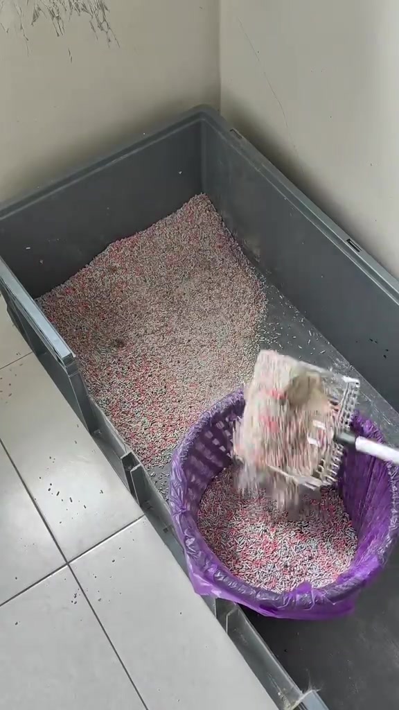 Skop logam mengaut ketulan pasir dari kotak pasir kelabu besar ke dalam tong sampah berlapis plastik ungu
