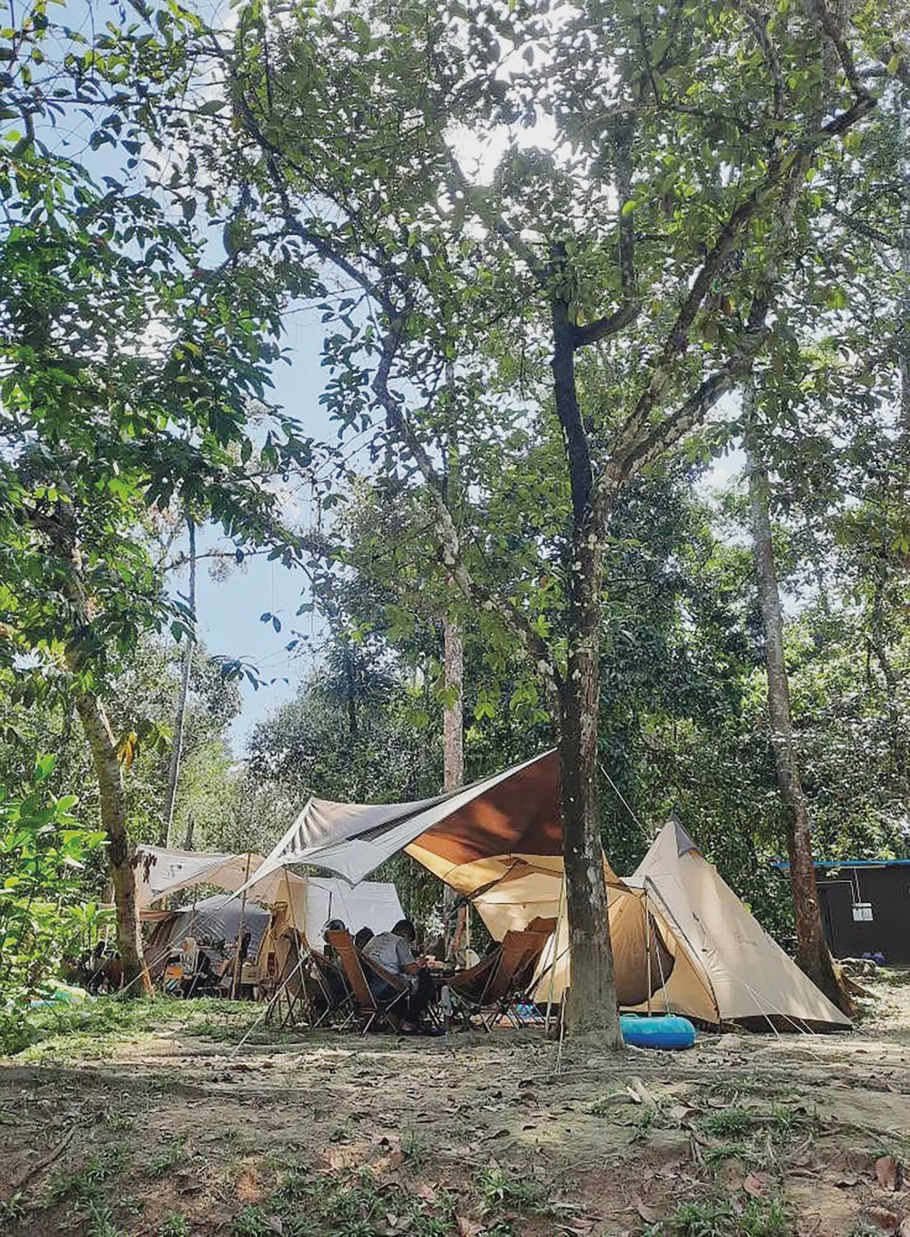 Melarikan Diri Dari Kota: Wisata Alam Selangor di Lembap dan Hutan Tersembunyi