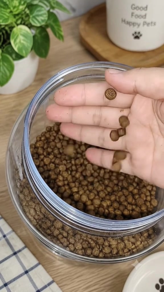 Kibbles kucing jatuh dari tapak tangan terbuka ke dalam balang penyimpanan penuh kibbles