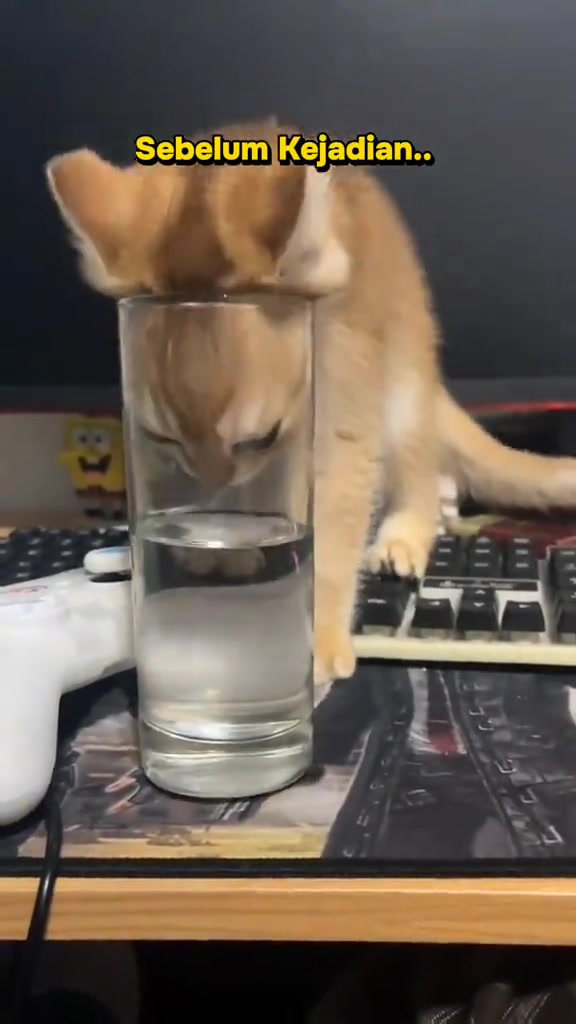 Kucing oren menunduk minum dari gelas tinggi di atas meja bersebelahan papan kekunci