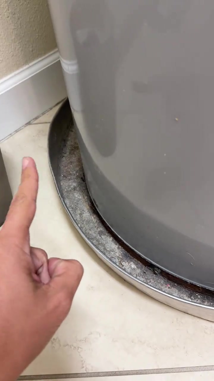 Jari menunjuk celah sempit berhabuk di bawah belakang peralatan dapur besar, laluan biasa tikus