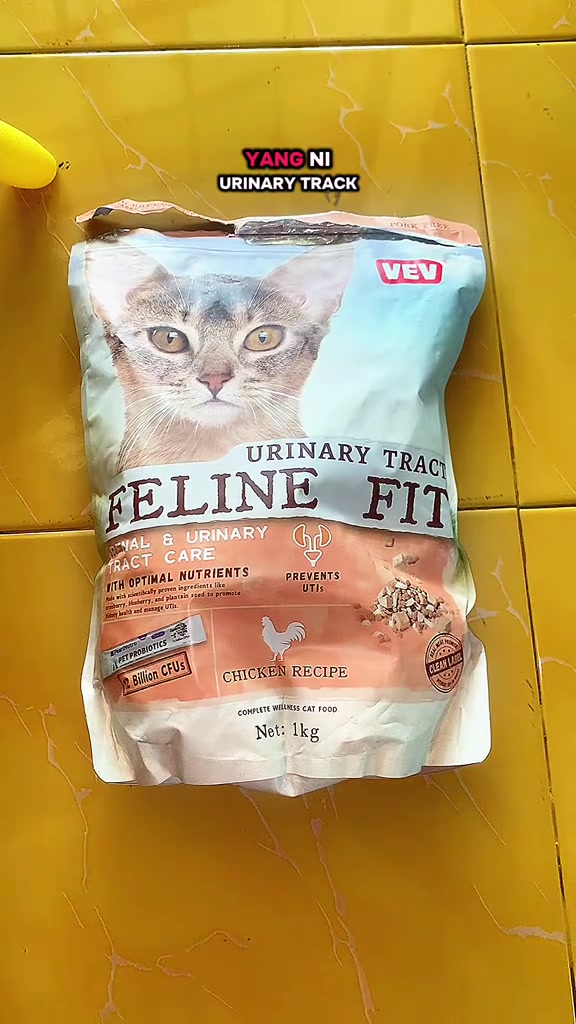 Beg makanan kucing VEV Feline Fit Urinary Tract 1kg perisa ayam atas lantai jubin kuning