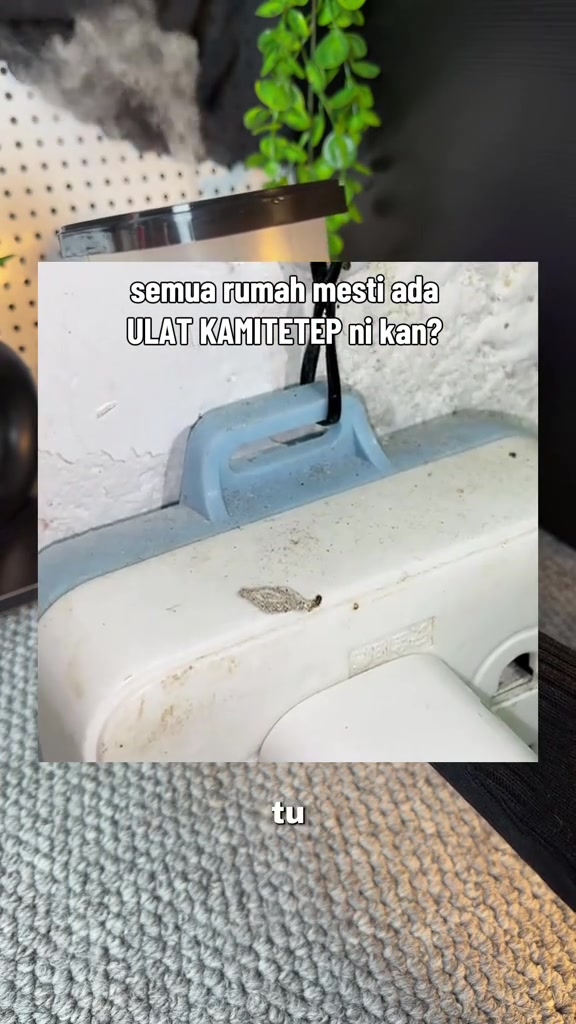Kelongsong kamitetep melekat pada permukaan barang rumah berwarna putih