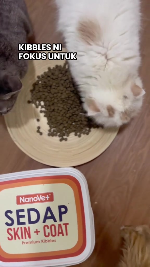 Dua kucing makan kibbles dari pinggan kayu di sebelah bekas NanoVet SEDAP Skin + Coat