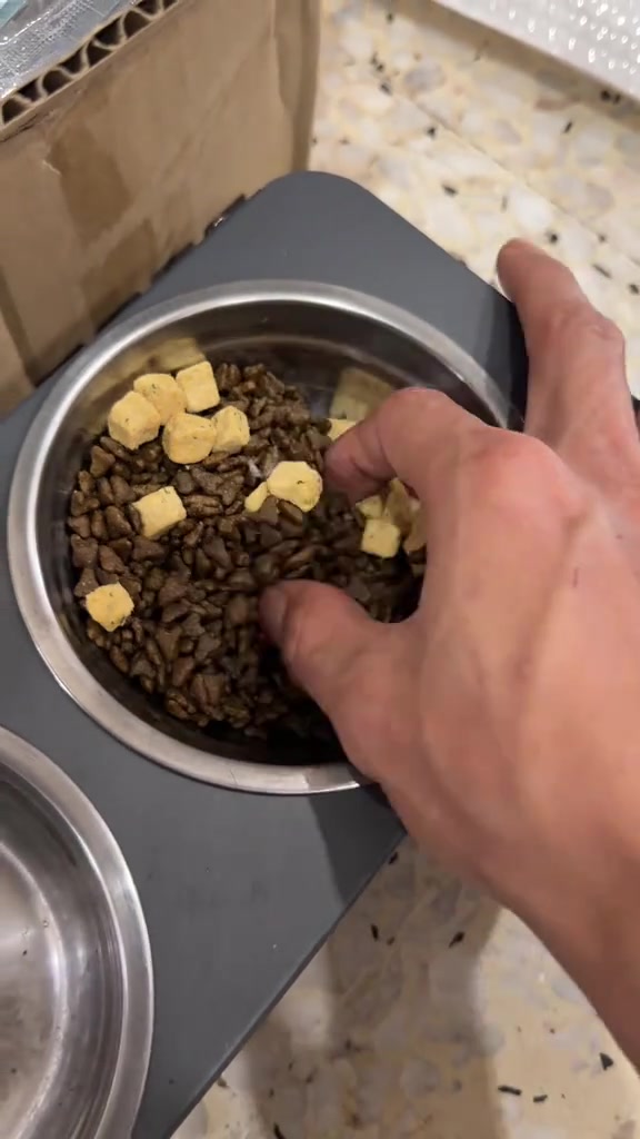 Tangan menggaul kibbles dengan kiub freeze-dried kuning dalam mangkuk keluli