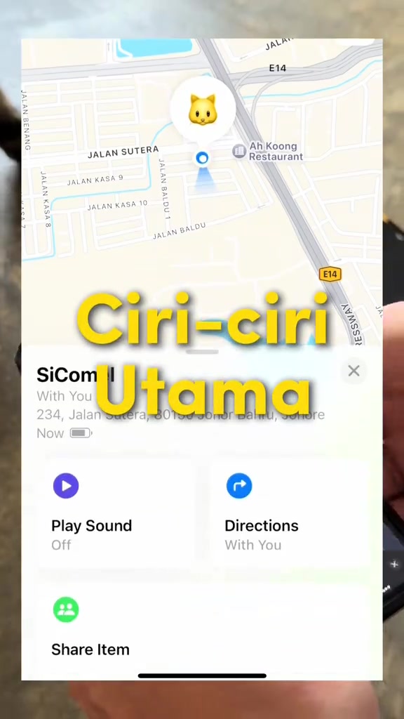 Skrin telefon menunjukkan peta dengan penanda ikon kucing serta butang Play Sound, Directions dan Share Item dalam aplikasi penjejak