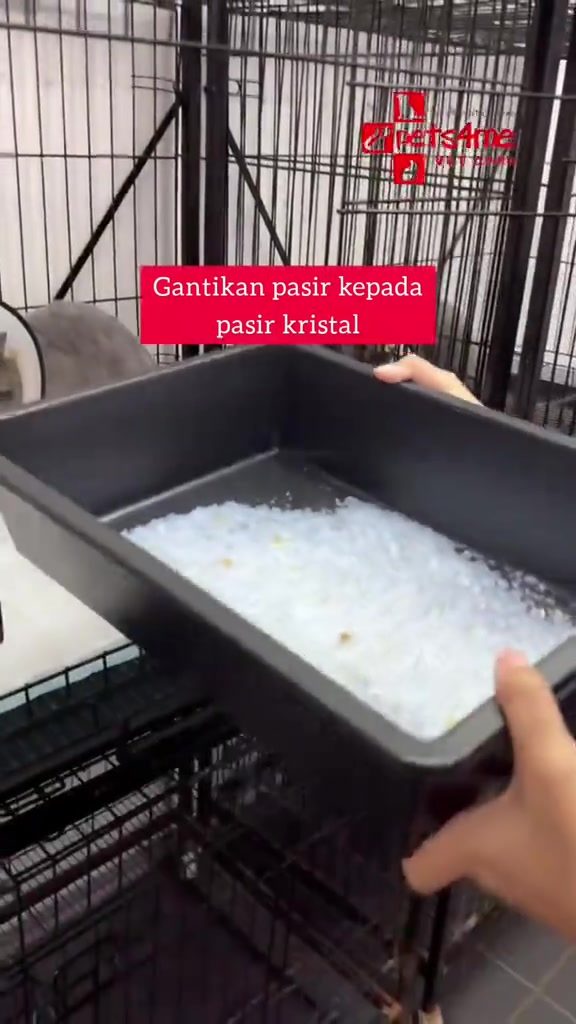 Tangan memegang kotak pasir hitam berisi pasir kristal putih, dengan teks gantikan pasir kepada pasir kristal