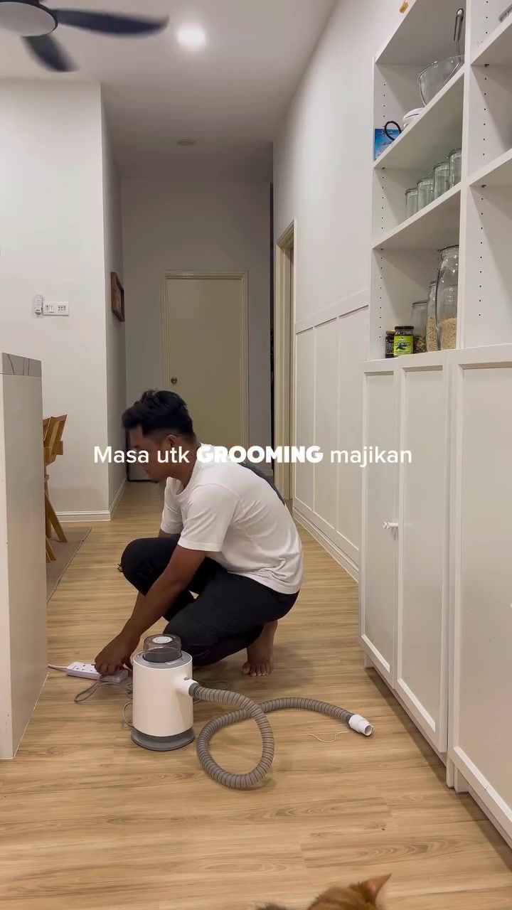 Seorang pemilik kucing memasang alat grooming penyedut bulu di lorong apartment sebelum sesi menyikat