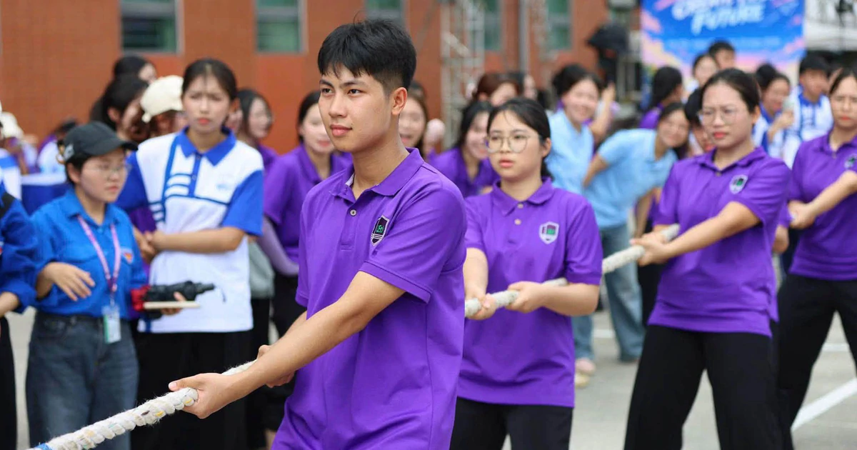 Ngành đại học được gom nhóm: Thí sinh cần tra cứu gì?