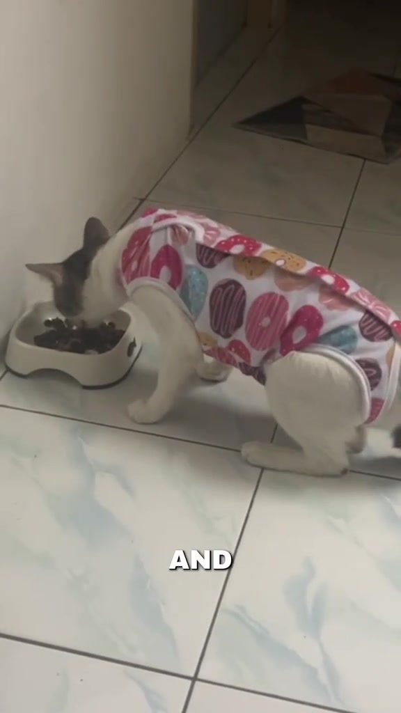 Kucing putih berbelang memakai recovery suit corak donat menunduk makan kibbles dari mangkuk rendah di lantai jubin