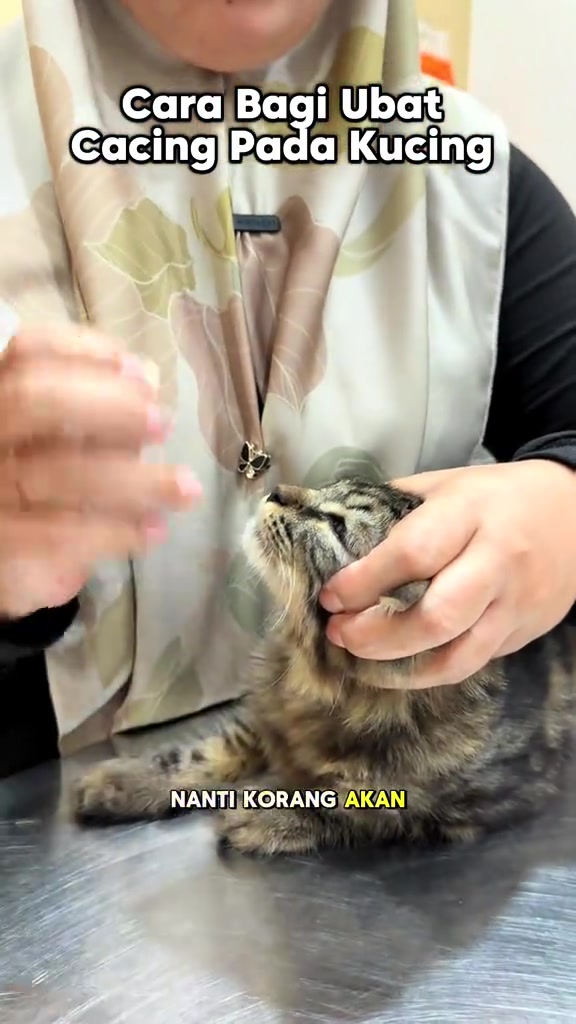 Tangan memegang kepala anak kucing comot mendongak sementara tangan satu lagi memegang tablet putih dekat mulut