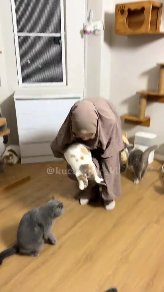 Beberapa kucing mengerumuni pemilik yang membongkok di ruang tamu dengan pemanjat kayu dan feeder automatik di latar