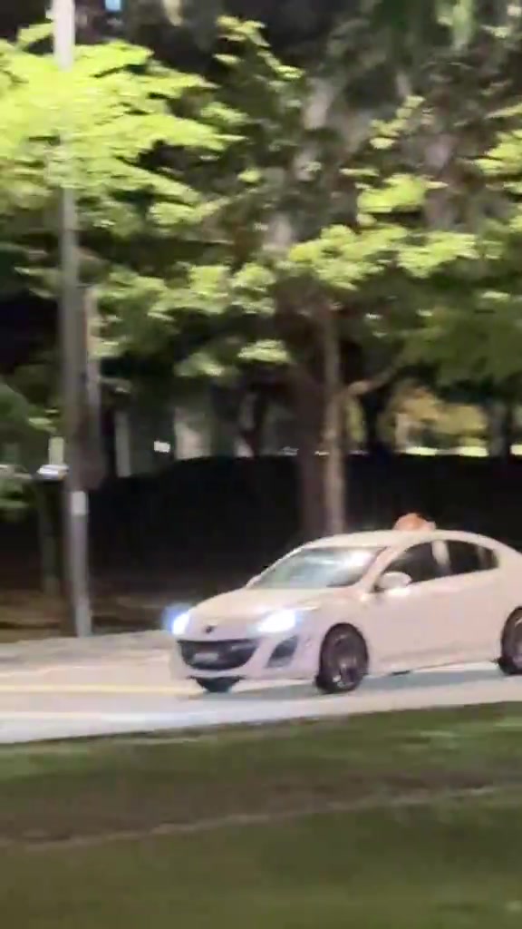 Seekor kucing menjenguk kepala dari sunroof kereta sedan putih yang sedang bergerak di jalan