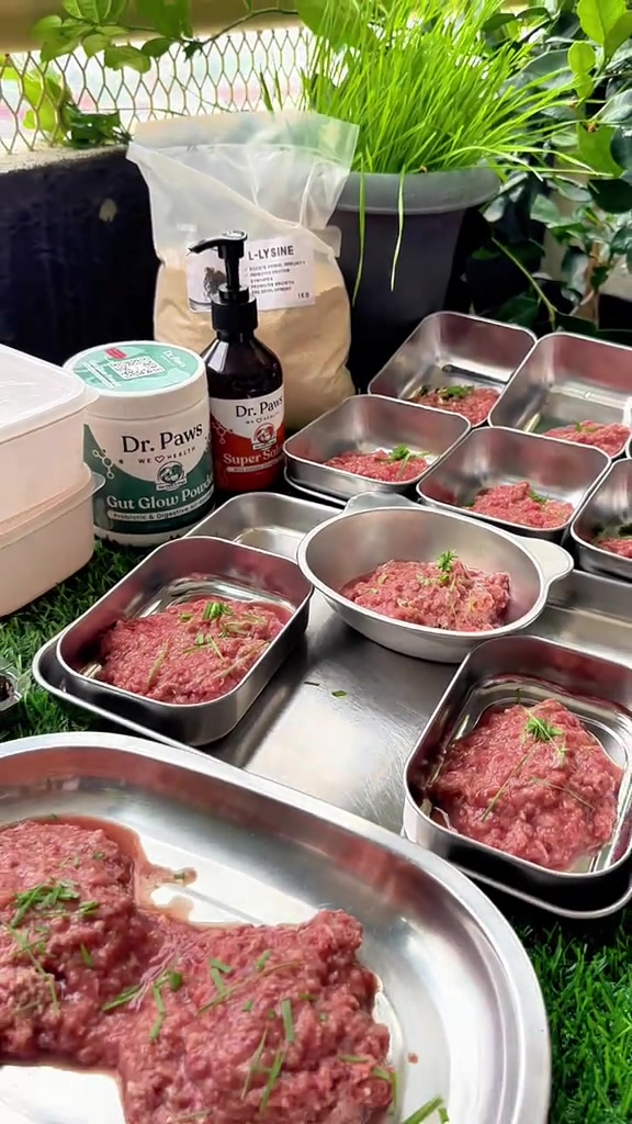 Bekas steel berisi portion daging mentah kisar di sebelah botol dan bekas suplemen serbuk