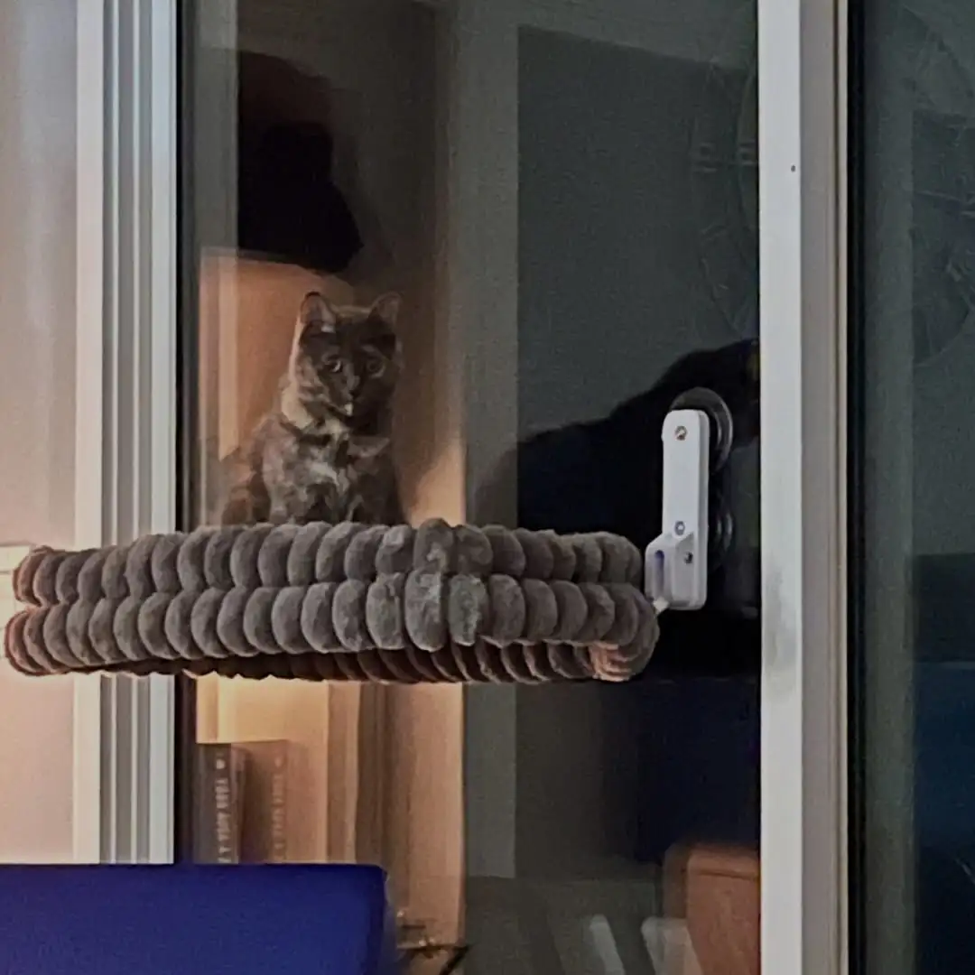 Buaian tingkap kucing di apartmen KL: harga RM dan cara semak cawan sedut