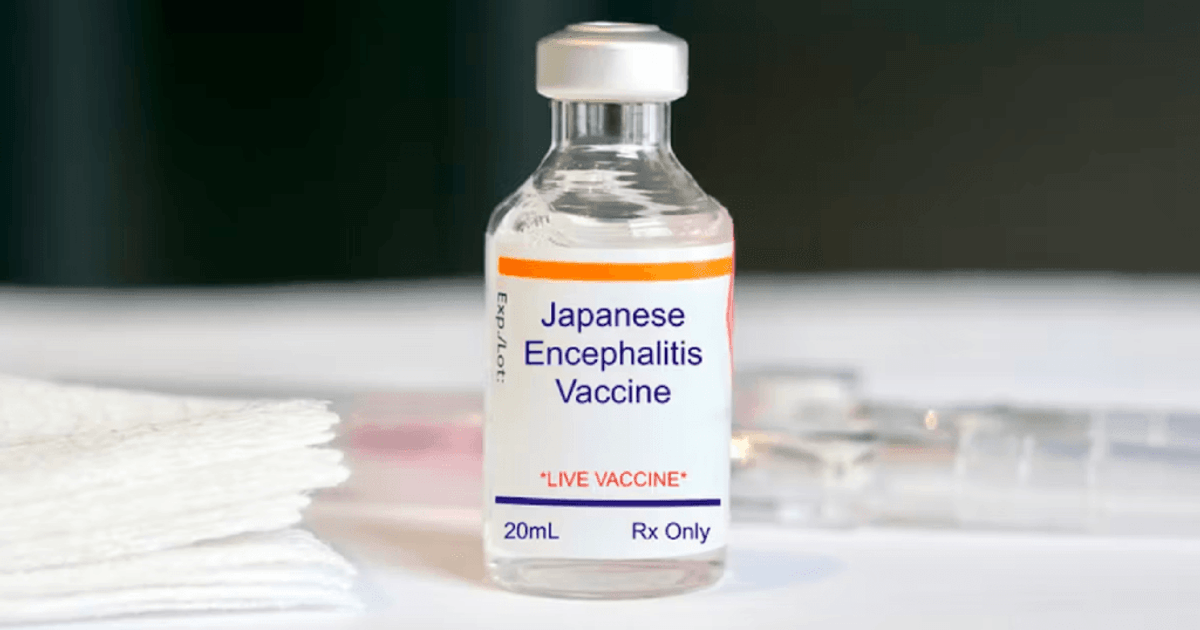 Vắc xin viêm não Nhật Bản thế hệ mới: Từ phòng lab đến thị trường