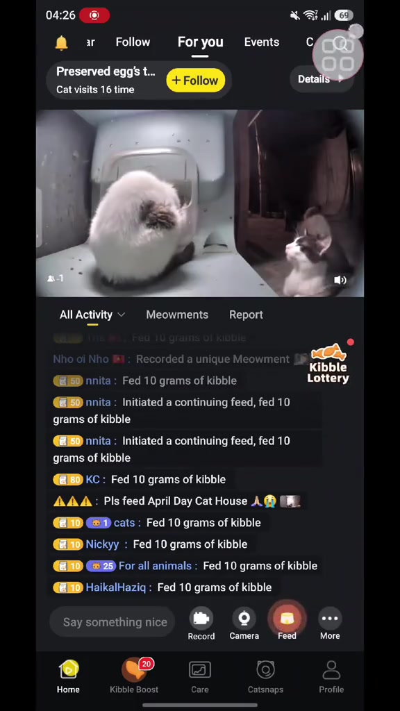 Skrin siaran langsung Purrrr dengan dua kucing dalam cat house dan log aktiviti pengguna yang masing-masing memberi 10 gram kibble