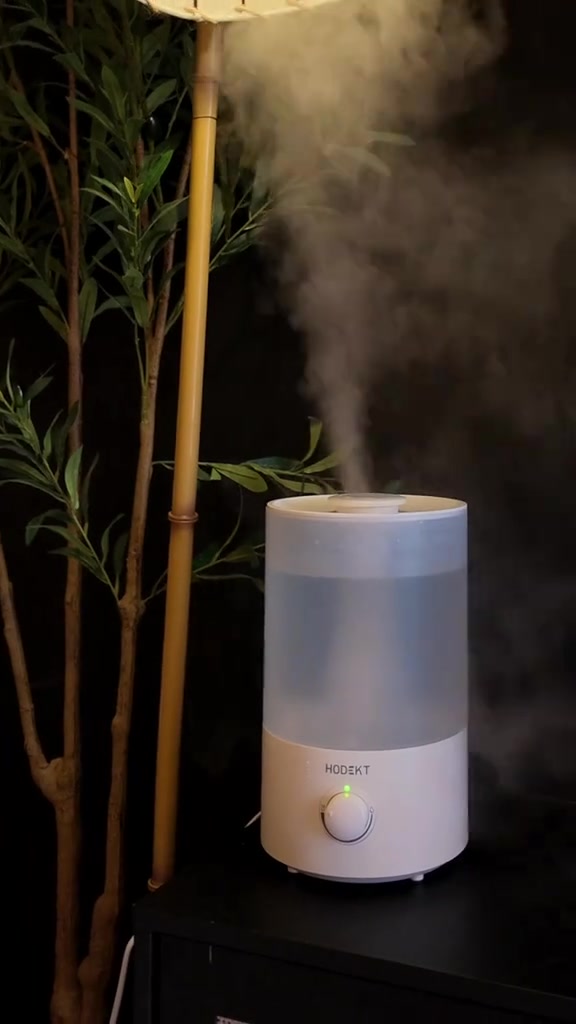 Air Humidifier Bilik Sewa: Mini 300ml RM14.99 vs 4L RM116.10 — Berbaloi Ke?