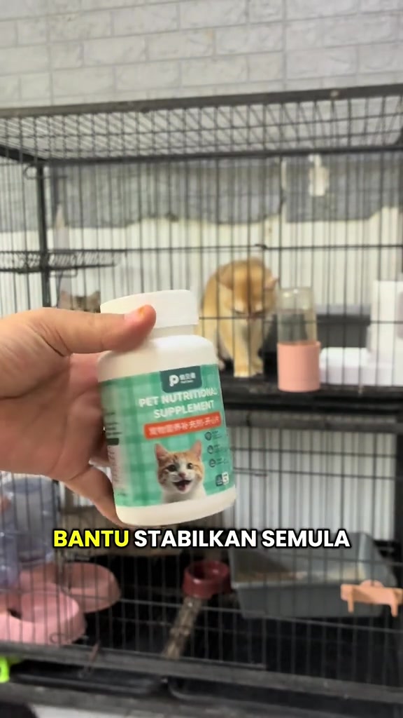 Tangan memegang botol suplemen pemakanan haiwan berwarna hijau putih dengan kucing di dalam sangkar di latar belakang
