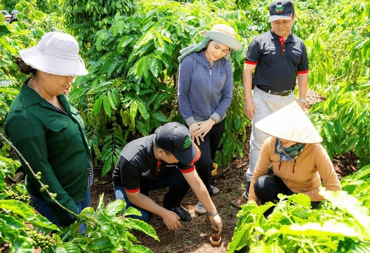 Robusta Việt cần thoát lệ thuộc sản lượng bằng chất lượng và thương hiệu