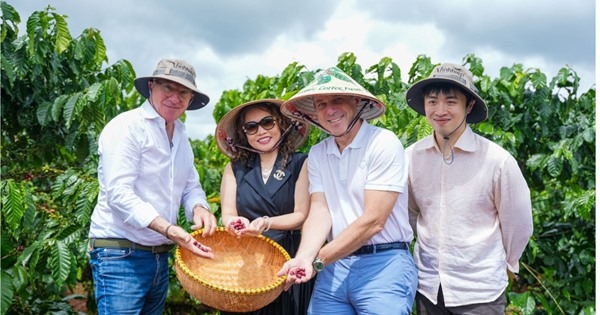 Robusta Việt cần thoát lệ thuộc sản lượng bằng chất lượng và thương hiệu