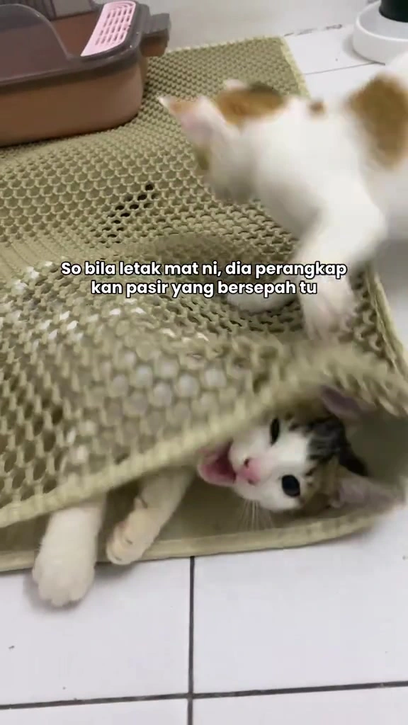 Tikar Pasir Kucing Velcro: Apa Saya Periksa Sebelum Beli di Apartment KL