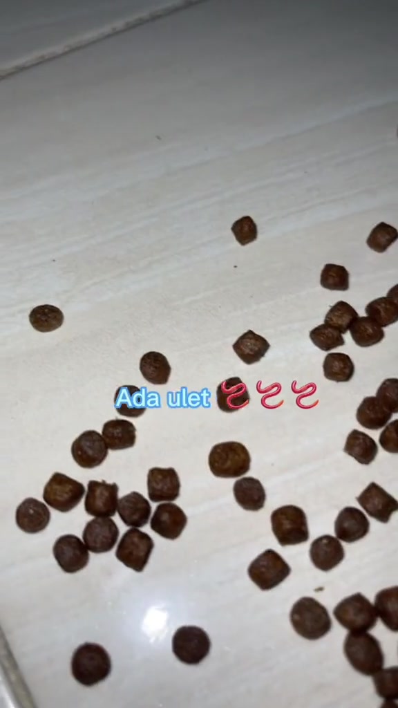 Kibbles bertaburan dalam bekas putih dengan tulisan 'Ada ulat' pada gambar.