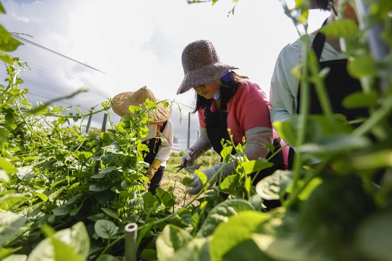 Petani Kecil Kini Boleh Guna AI dan Dron Tanpa Modal Besar