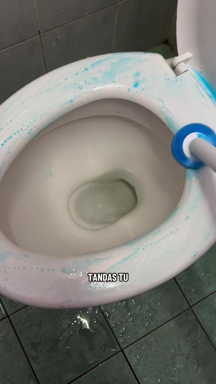 Mangkuk tandas dengan kepala berus panjang menyentuh bahagian dalam mangkuk