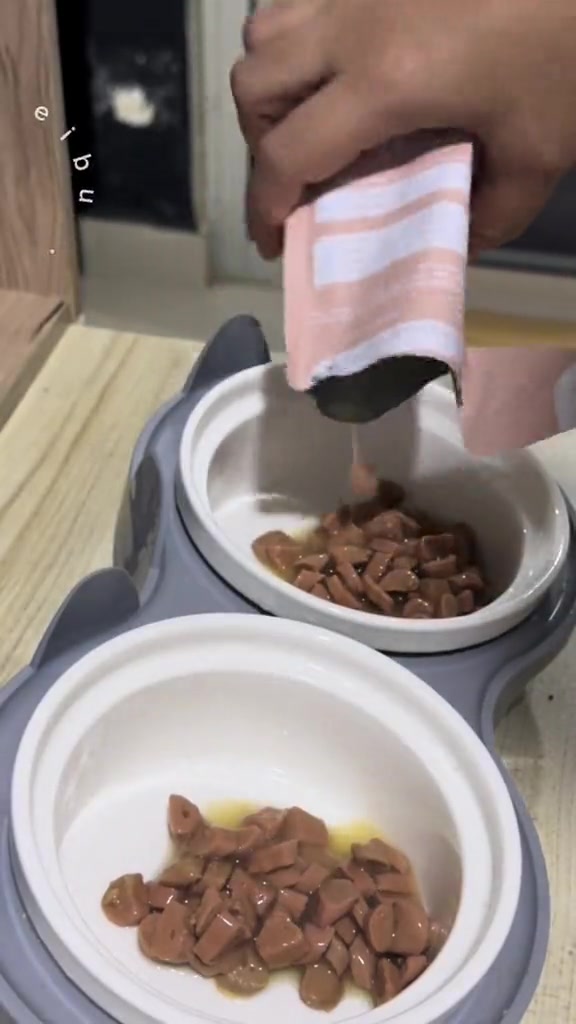 Tangan menyediakan kibbles dalam mangkuk kucing di rumah