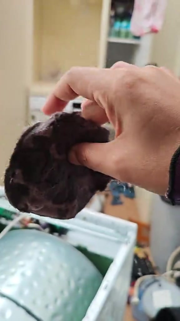 Tangan memegang gumpalan serabut lint yang dikeluarkan dari pengering baju
