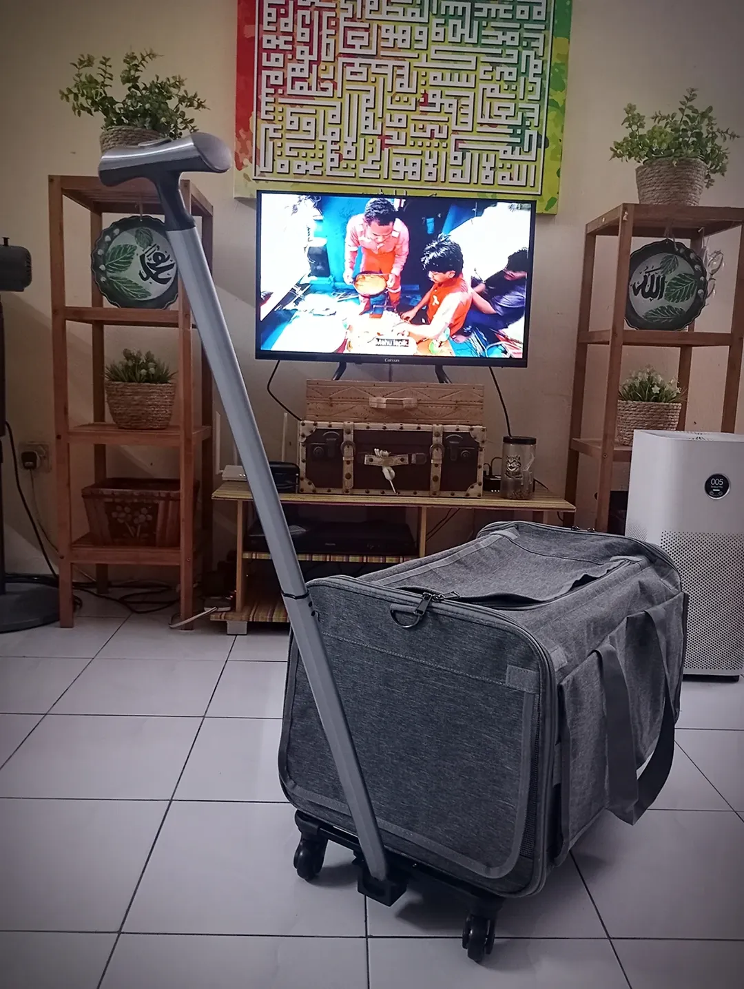 Beg pembawa kucing beroda dengan pemegang tarik diletakkan di ruang tamu.